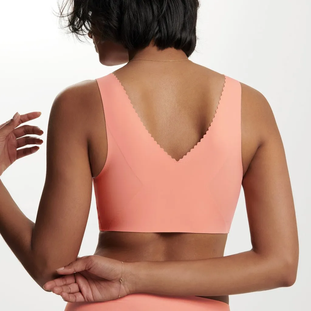 Evelyn Bra Fashion Colors
